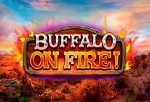 Buffalo on Fire! Slot Review